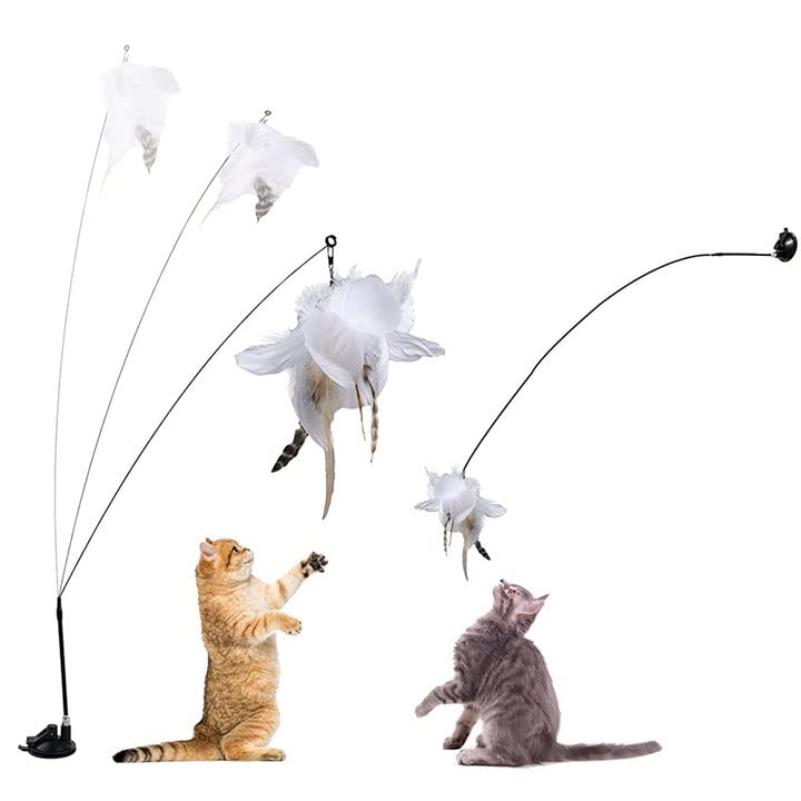 Qpets Cat Toy Cat Toys Interactive for Indoor Cat Wand Teaser Cat Feather Wand Toy Suction Cup Design Qpets Cat Toy Cat Toys Interactive for Indoor Cat Wand Teaser Cat Feather Wand Toy Suction Cup Design